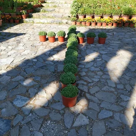 Mountain House * Platanistasa