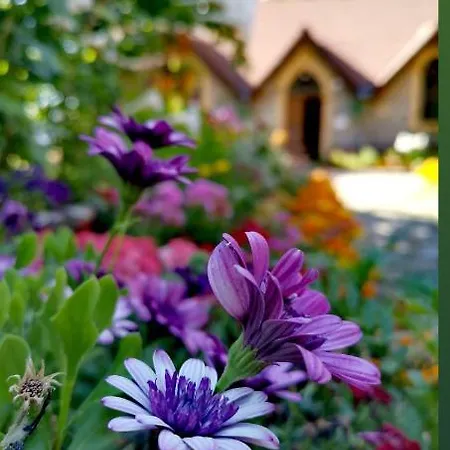 Case de vacanță Mountain House *
