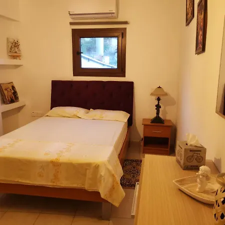Mountain House Holiday home Platanistasa